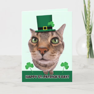 Alles Gute zum St. Patrick's Day für jeden Cat Spa Feiertagskarte