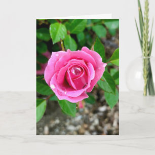 Alles Gute zum Valentinstag Karte