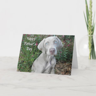 Alles Gute zum Vater ... Vom Weimaraner Hund Karte
