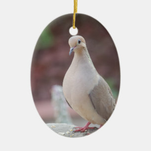 Alles ist Coo' Keramik Ornament