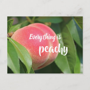 Alles ist Peachy // Peach Postkarte