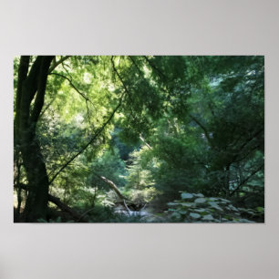 Alles ist ruhig in Shadow Den, Muir Woods Poster