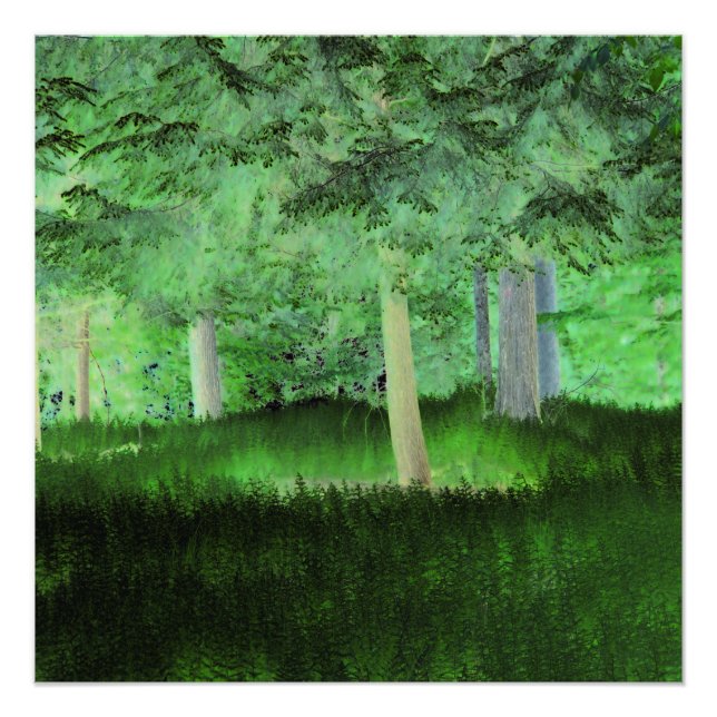 "Alles könnte passieren" Magisch verwandelte Wälde Fotodruck (Vorne)