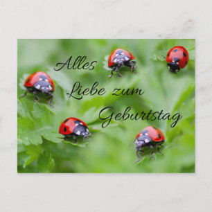 Alles Liebe zum Geburtstag! Postkarte