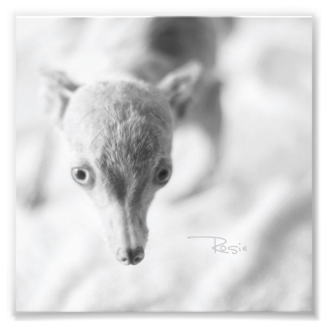 Alles Rosie Foto (Vorne)