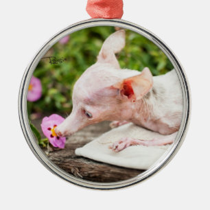 Alles Rosie Foto-Ornament Ornament Aus Metall