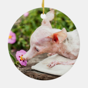 Alles Rosie Foto-Verzierung Keramik Ornament