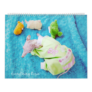 Alles Rosie Kalender