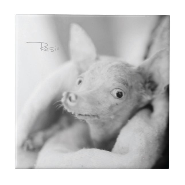 Alles Rosie Keramik-Fliese Fliese (Vorderseite)