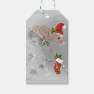 Alles Set für Sankt-Geschenk-Umbauten Geschenkanhänger