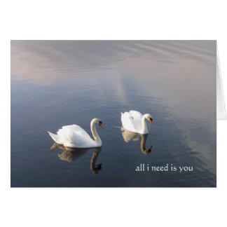 Alles, was du brauchst