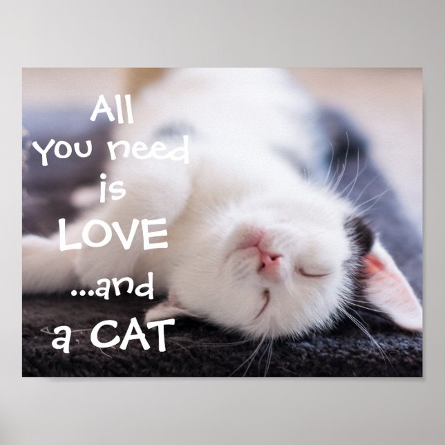 Alles was du brauchst ist Liebe...und eine Katze / Poster (Vorne)