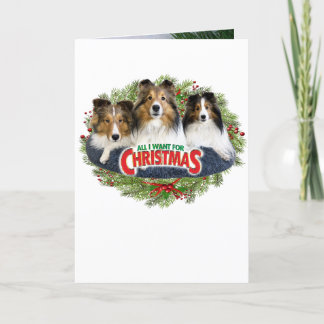 "Alles, was ich für Weihnachten gewollt habe" Weih