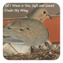 Alles, was ich Gewollt habe, ist Ihr Sticker von R