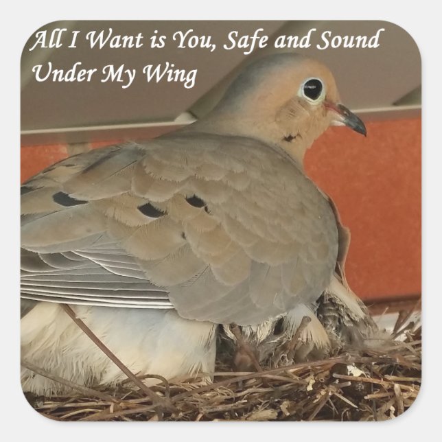 Alles, was ich Gewollt habe, ist Ihr Sticker von R (Vorderseite)