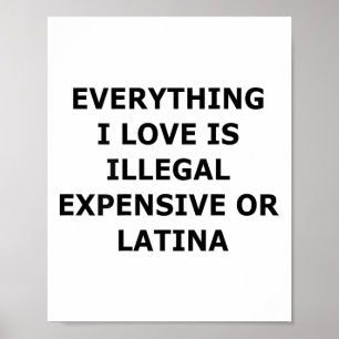 Alles, was ich liebe, ist illegal, teuer oder Lati Poster