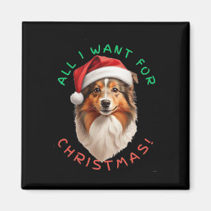 Alles, was ich zu Weihnachten Gewollt habe! Für Sh Magnet