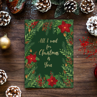 Alles, was ich zu Weihnachten gewollt habe, ist Ih
