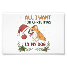 Alles, was ich zu Weihnachten will, ist meine Hund