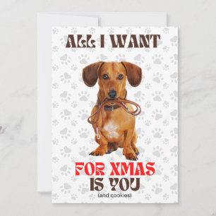 Alles, was ich zu Weihnachten will, Lustige Doxie-