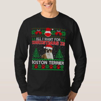 Alles, was ich zu Weihnachten Wollte, ist Boston T T-Shirt