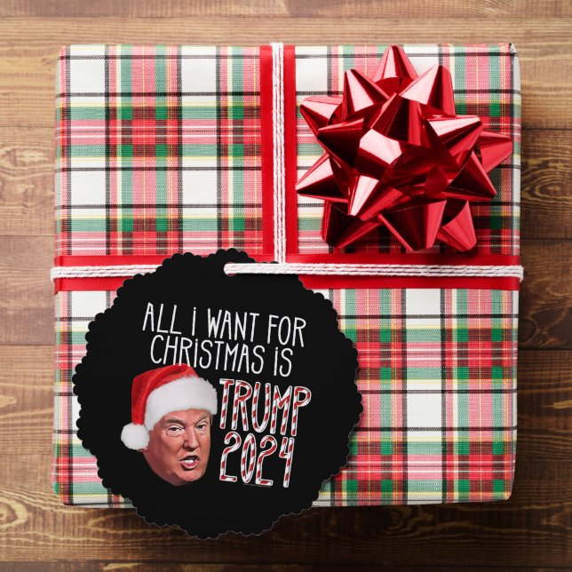 Alles, was ich zu Weihnachten Wollte, ist Trump 20 Ornament Karte (Insitu (Geschenk))