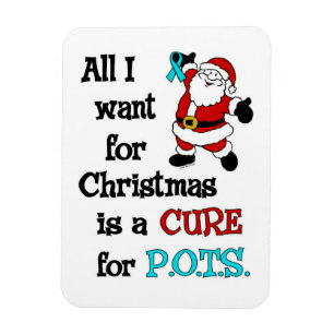 Alles, was ich zu Weihnachten Wollte... Magnet