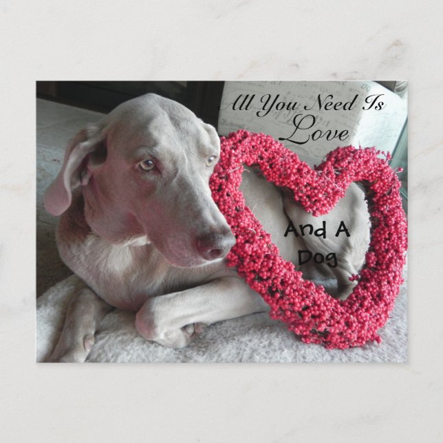 Alles was Sie brauchen ist Liebe - und ein Hund (R Postkarte (Vorderseite)