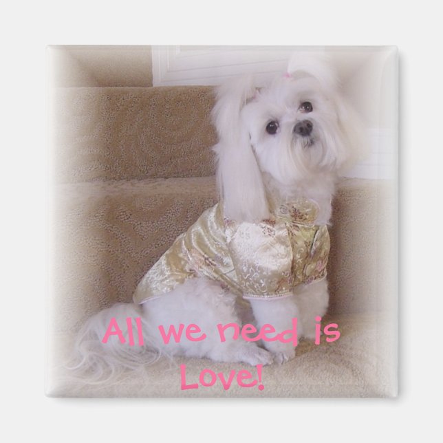 Alles, was wir brauchen, ist Liebe! Magnet (Vorne)