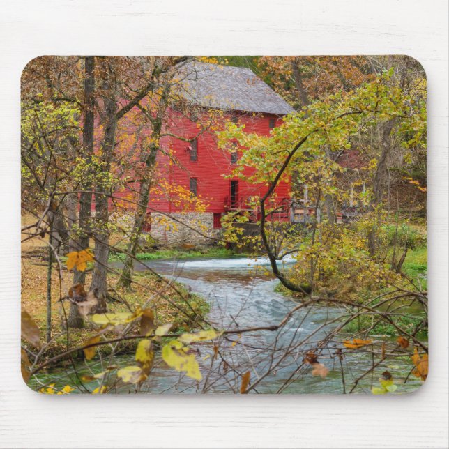Alley durch den Wald Mousepad (Vorne)