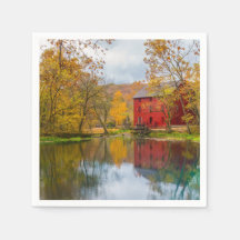 Alley Mill and Spring