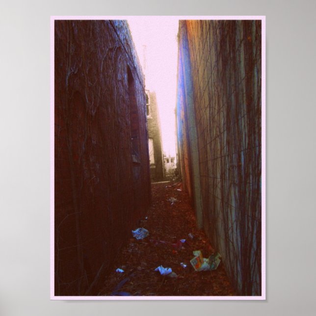 Alley Poster (Vorne)