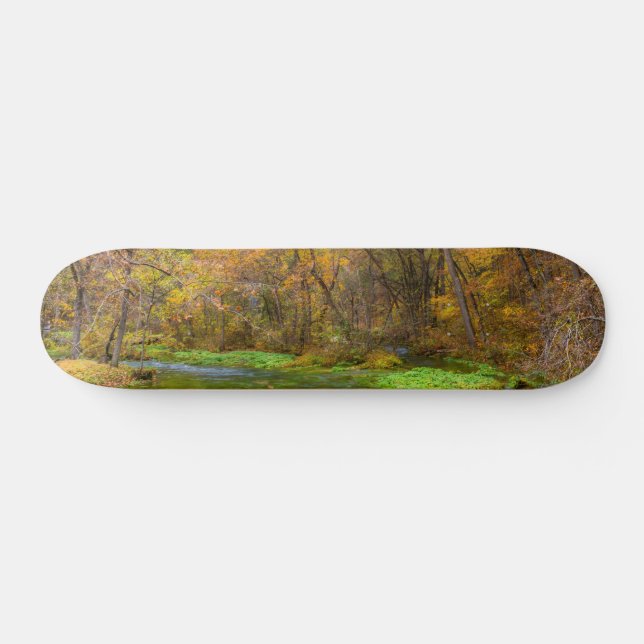 Alley Spring Herbst Wasserskateboard Skateboard (Horizontal)