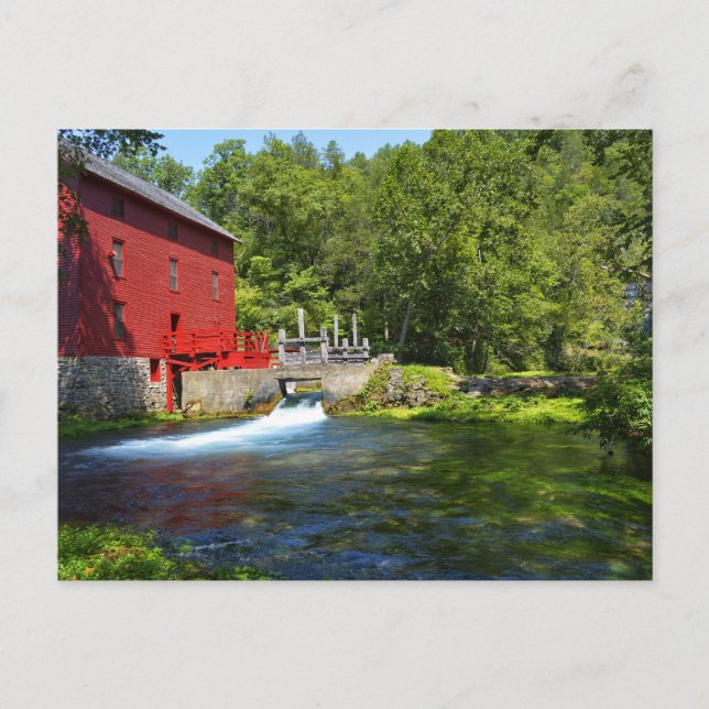 Alley Spring Postkarte (Vorderseite)