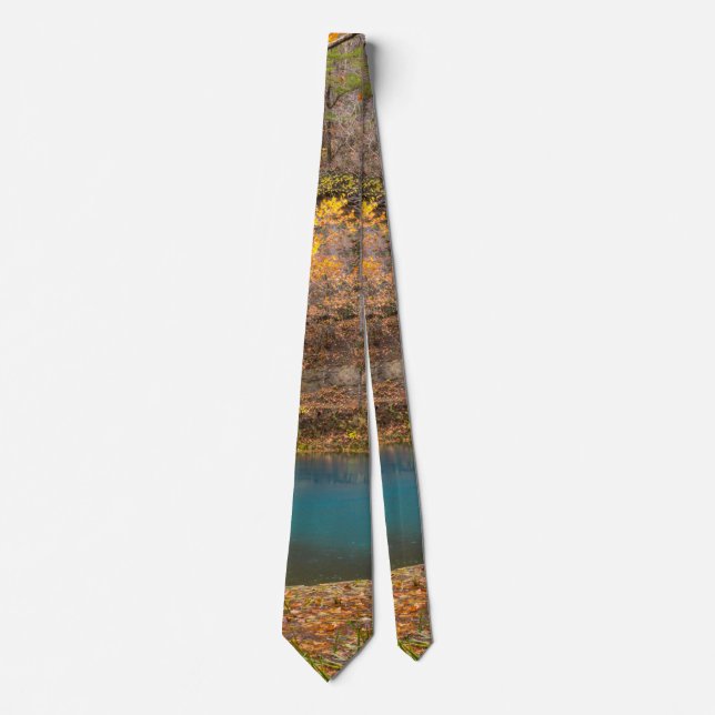 Alley Spring View Neck Tie Krawatte (Vorderseite)