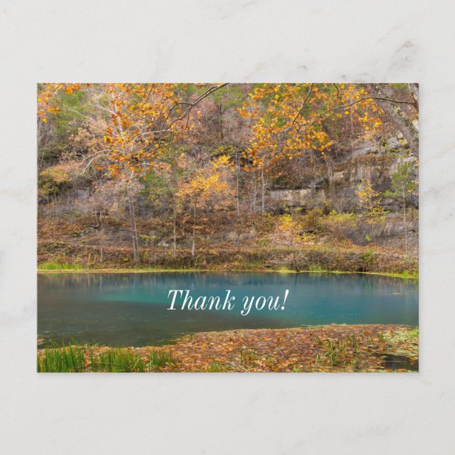 Alley Spring View Vielen Dank Postcard Postkarte (Vorderseite)