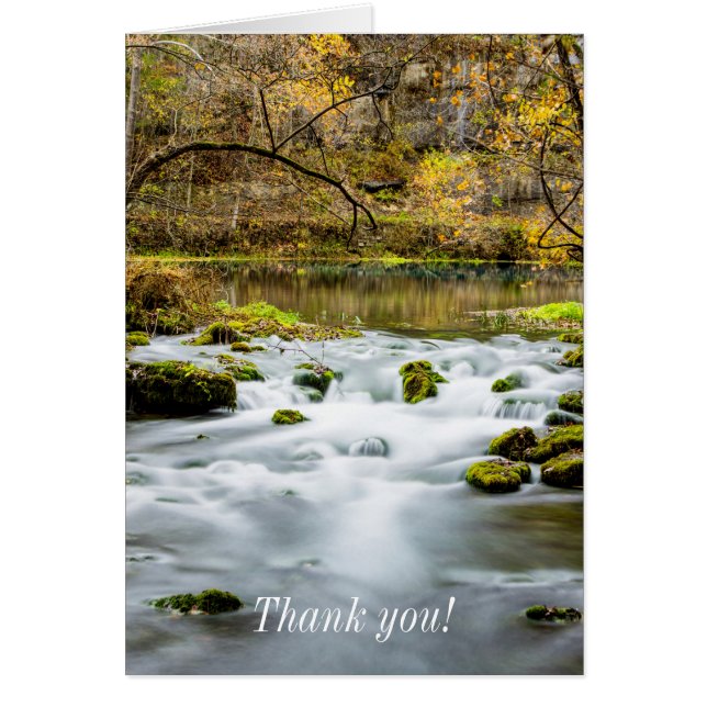 Alley Springs Rapids Danke Karte (Vorne)