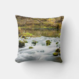Alley Springs Rapids Kissen
