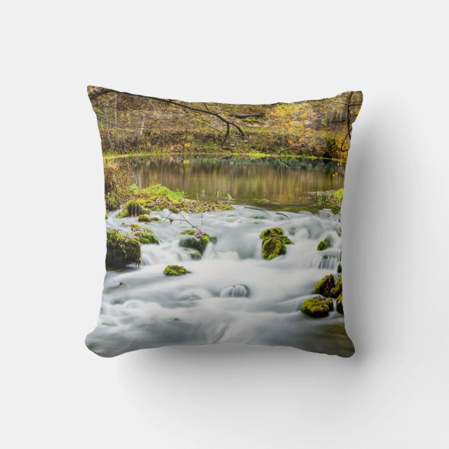 Alley Springs Rapids Kissen (Vorderseite)
