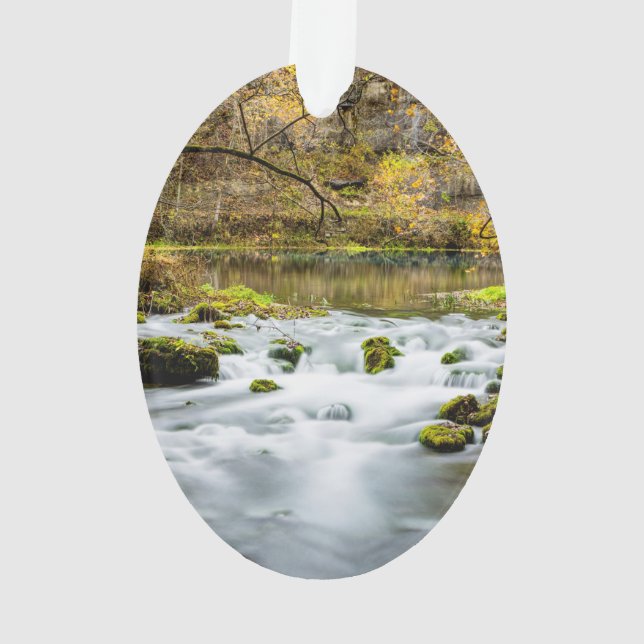 Alley Springs Rapids Ornament (Rückseite)