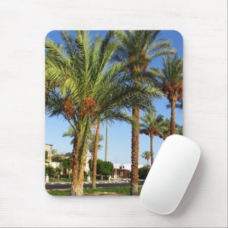 Alley von Dattelpalmen in Sharm El Sheikh Mousepad