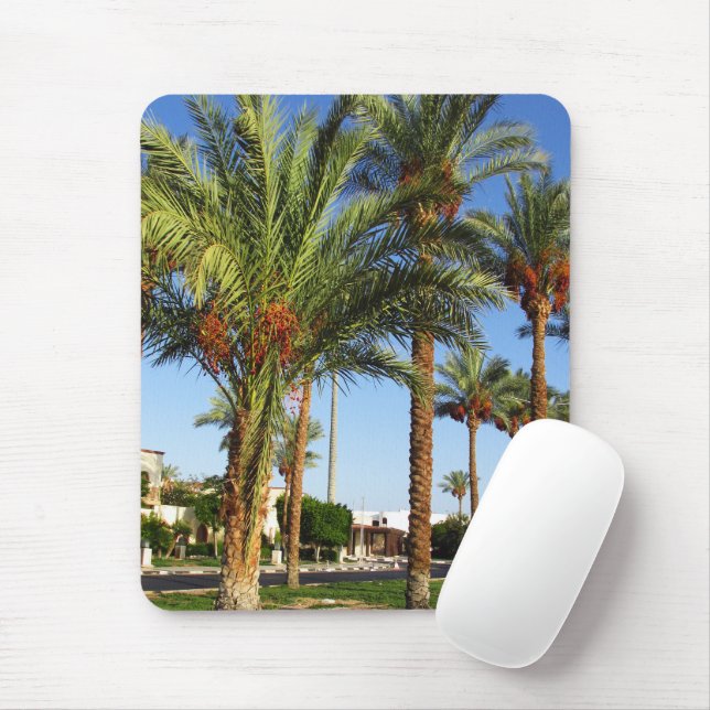 Alley von Dattelpalmen in Sharm El Sheikh Mousepad (Mit Mouse)