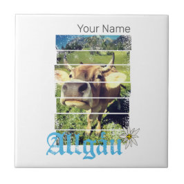 Allgäu Alpen Vintage Kuh Bayern Deutschland Souven Fliese