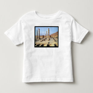 Allgemeine Ansicht des Apadana gründete c.518 BC Kleinkind T-shirt