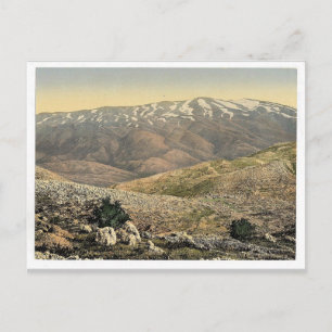 Allgemeine Ansicht, Mount Hermon, Heiliges Land (d Postkarte