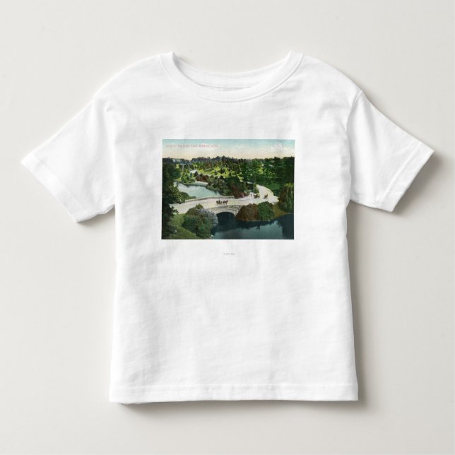 Allgemeine Ansicht von Franklin-Park Kleinkind T-shirt (Vorderseite)
