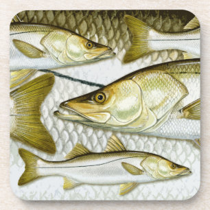 Allgemeine Hechtmakrele-Untersetzer Untersetzer