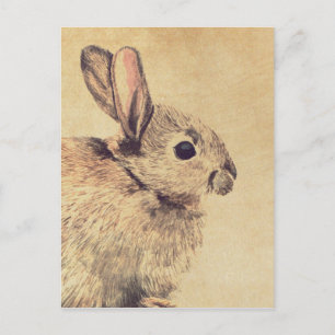 Allgemeine Kaninchen-Aquarell-Skizze Postkarte