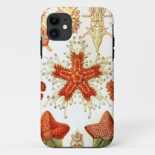 Allgemeine Starfish-Entwürfe Case-Mate iPhone Hülle