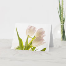 Allgemeine Weiße Tulpen Karte